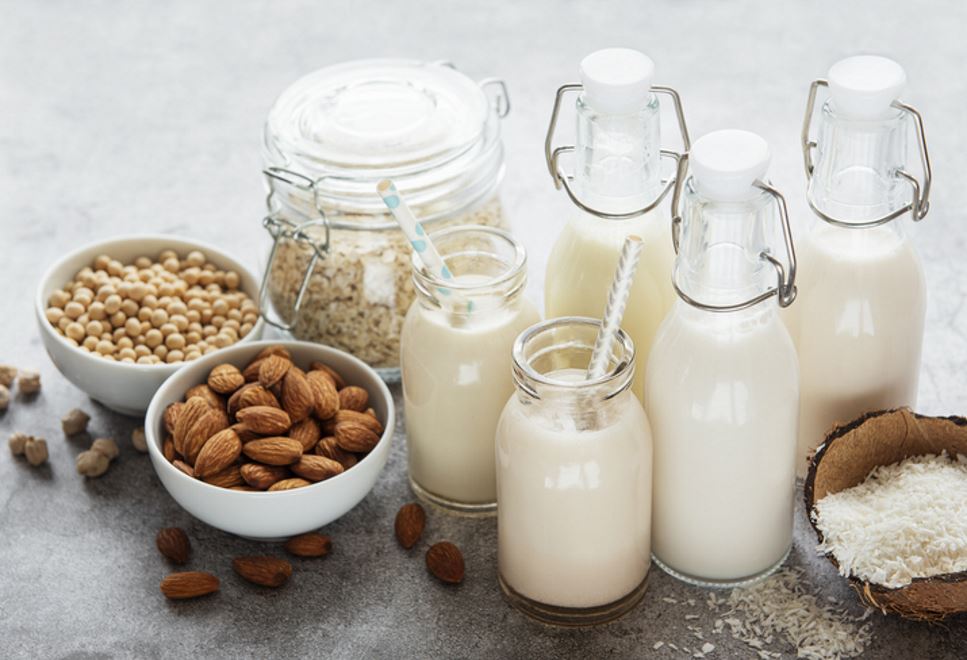 A collection of plant-based milks and ingredients they may be made from.